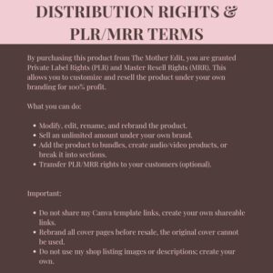 Faceless Creator Starter Kit – PLR & MRR Digital Products